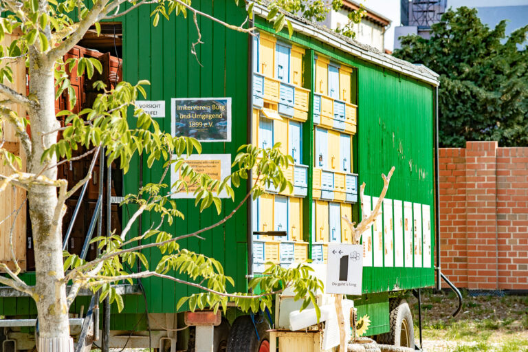 Presseclub-Tagesfahrt zur Landesgartenschau in Burg