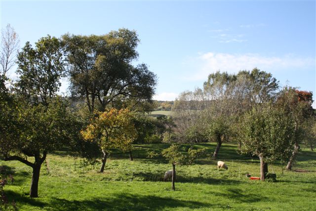 Tagesfahrt in die Saale-Unstrut-Region