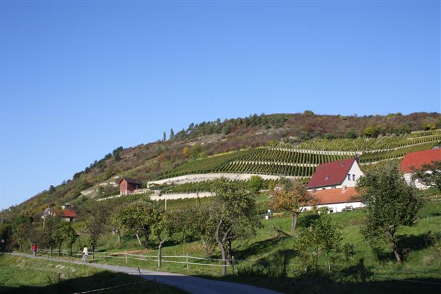 Tagesfahrt in die Saale-Unstrut-Region