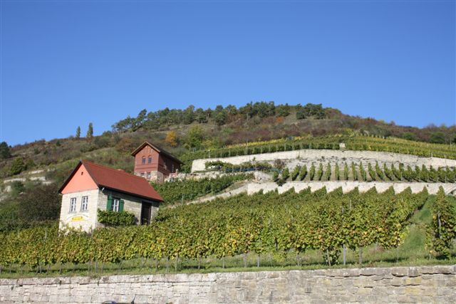 Tagesfahrt in die Saale-Unstrut-Region
