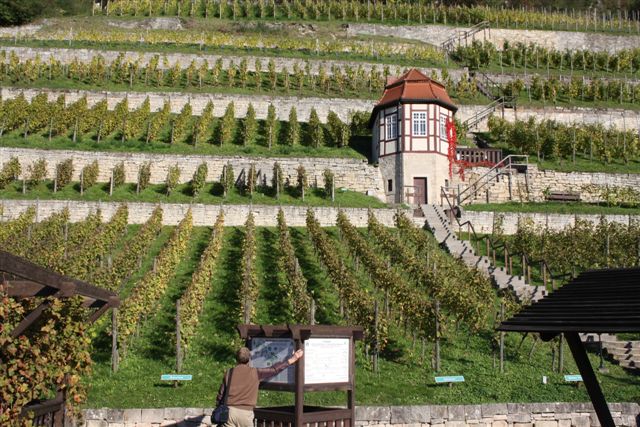 Tagesfahrt in die Saale-Unstrut-Region