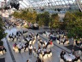 13. Jahrestreffen des Forums deutscher PresseClubs in Leipzig (Foto: Johann Schwepfinger)