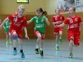 6. Handball-Benefizturnier des Presseclubs Magdeburg am 11.06.2016 in Magdeburg