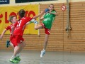 6. Handball-Benefizturnier des Presseclubs Magdeburg am 11.06.2016 in Magdeburg