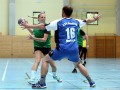 6. Handball-Benefizturnier des Presseclubs Magdeburg am 11.06.2016 in Magdeburg