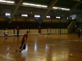 Handballbenefizturnier am 29.05.2010 in der Hermann-Gieseler-Halle Magdeburg (Foto: Montessori-Zentrum)